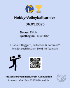 Volleyballturnier Promoplakat